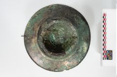 Foto von Bronzebreitrandfußschale (NHMW-PRAE-025437)